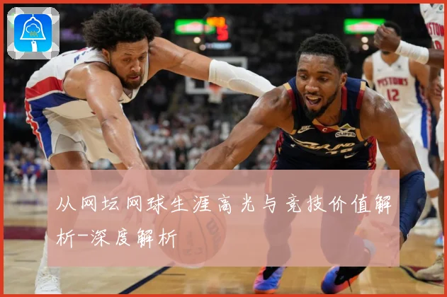 从网坛网球生涯高光与竞技价值解析-深度解析