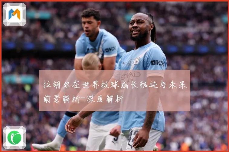 拉胡尔在世界板球成长轨迹与未来前景解析-深度解析