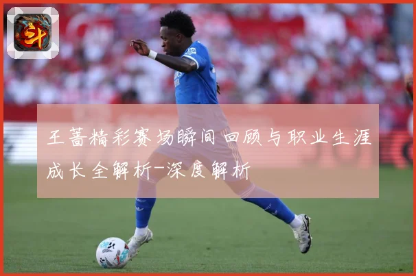 王蔷精彩赛场瞬间回顾与职业生涯成长全解析-深度解析