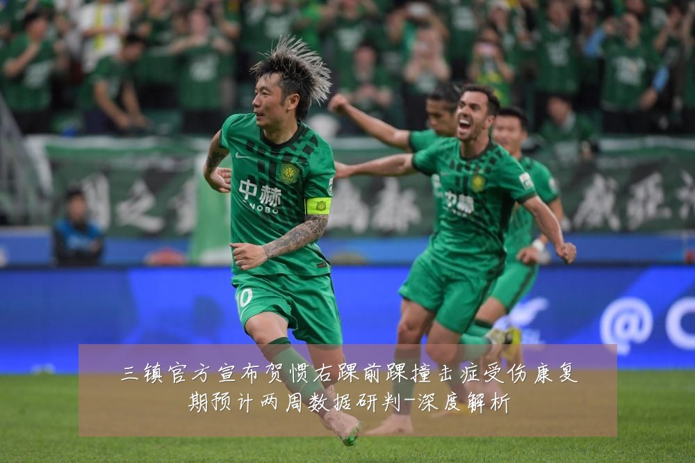 三镇官方宣布贺惯右踝前踝撞击症受伤康复期预计两周数据研判-深度解析